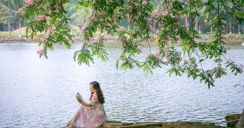 Khám phá du lịch chữa lành, tìm hiểu chữa lành là gì và chuẩn bị những món ăn vặt đồng hành trong mọi hành trình thư giãn.